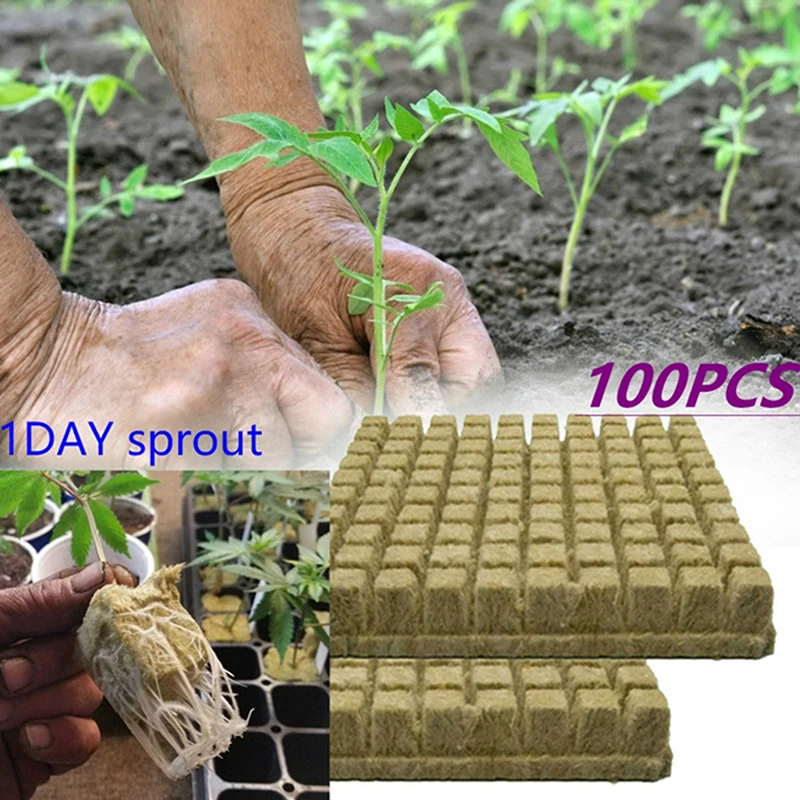 

Mini Compress Base Practical Rockwool Cubes Media Blocks Soilless Cultivation