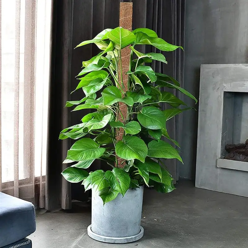 

Plant Support Moss Pole Coir Moss Stick Totem Pole Plant Support for Plant Support Extension Climbing Indoor Plants