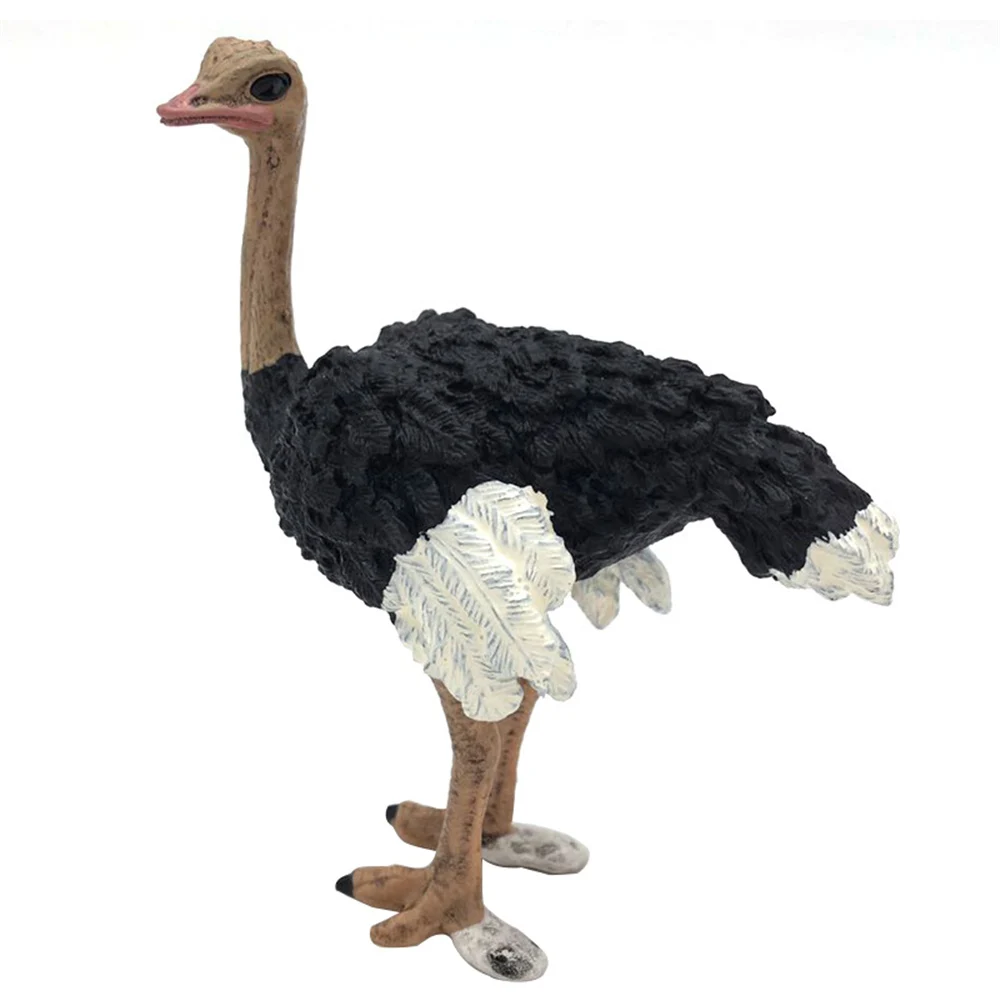 

Artificial Birds Animal Models Simulation Bird Figure For Home Decor Kids Educational Toys Decoration Gifts