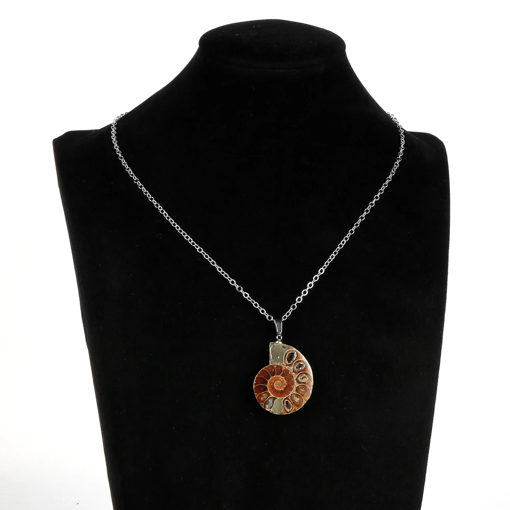 Женский и мужской натуральный окаменелостей аммония кулон Улитка ожерелье океан