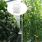 Опоры для растений, роликовый крючок для теплицы и сада с 15-метровым нагревом, используемым для томатных аксессуаров