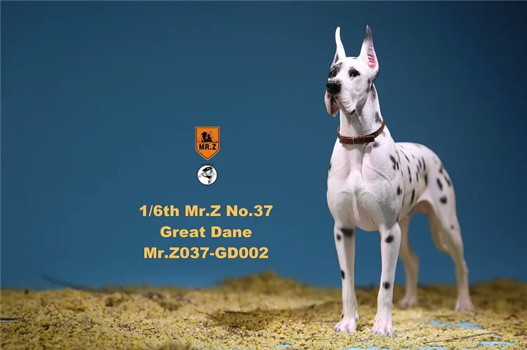 

In Stock 1/6 Scene Accessories Mr.Z MRZ037 The German Great Dane 6 colors Pet Dog Model Animal Figure Model Toys for 12'' Body