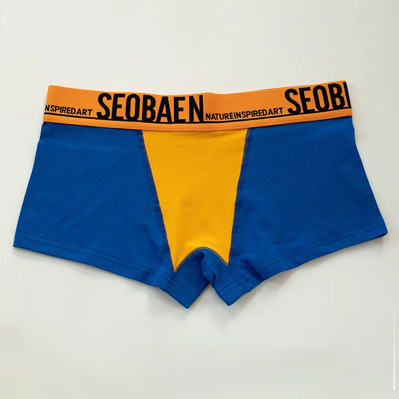 HaleyChan Underwear Women Panties 3 Pcs Cotton Boxer Briefs for Tomboy Trans Lesbian Transgender Ftm Women Sports Underpants