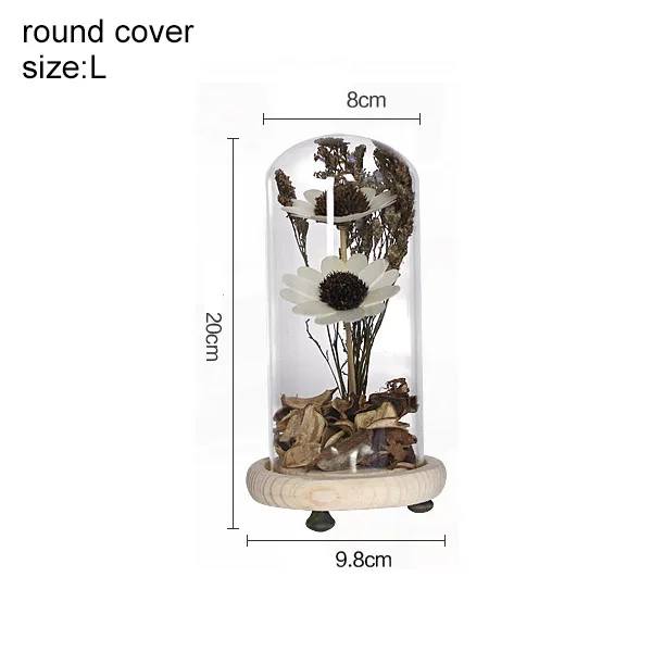 ROUND COVER Креативные украшения для дома, аксессуары, стеклянная крышка, произведение искусства, настольные Ремесла, Декор, сушеная Цветочная ваза с орнаментом, подарки, микро пейзаж - Цвет: ROUND COVER