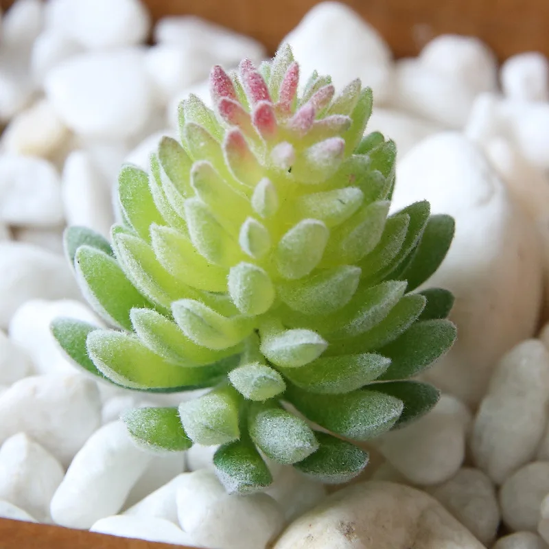 

Production of flocking succulents, artificial flower heads, flower arrangement accessories, plastic flower decoration plants