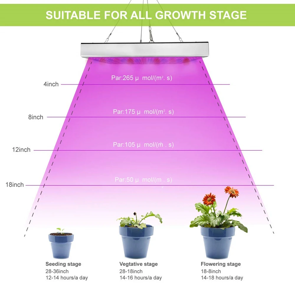 1. Фитолампы