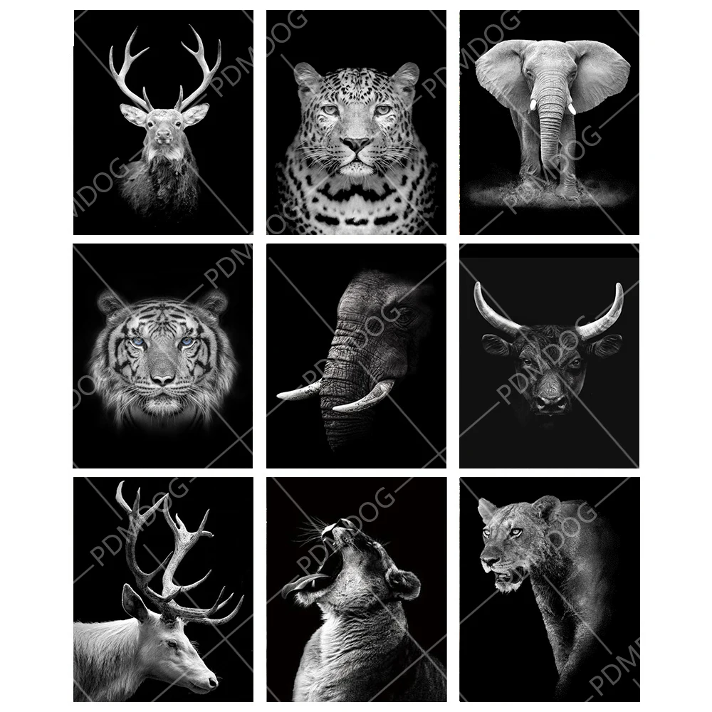 

DIY 5D diamond painting full square diamond embroidery set black and white pattern animal cross stitch stickers home decoration