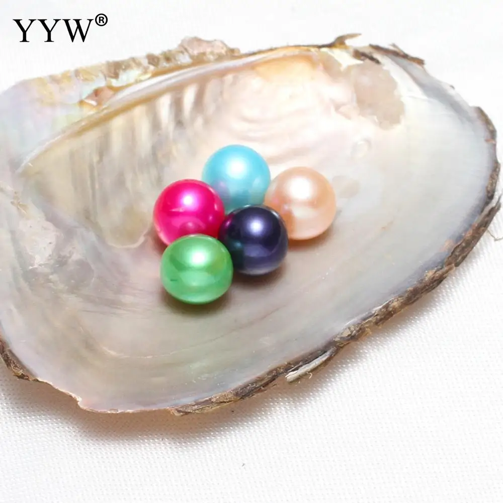 Новинка 5 шт./лот Эдисона жемчуга Oyster Pearl Mussel с 1 ожерельем многоцветные Размер 7-8