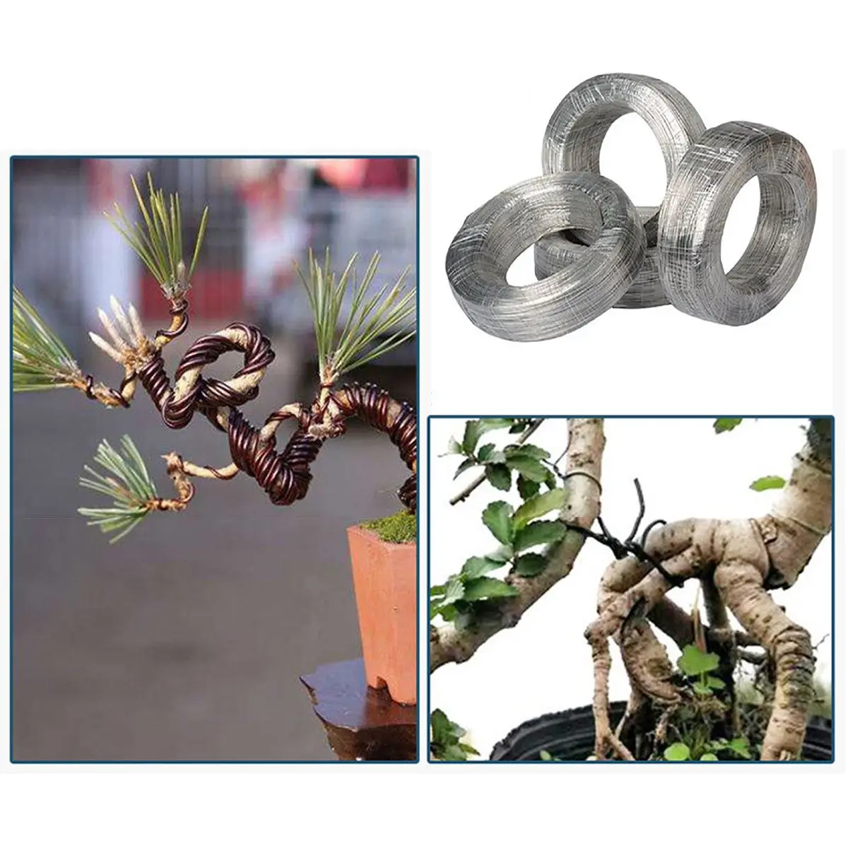 

1 Roll Aluminum Tree Training Wires for Garden Plants Practical Bonsai Wire Beginners Trainers Artists Black Silver 3.5/4/5/6mm