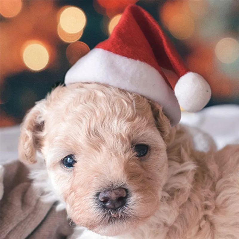 1 pcs Christmas Festival Pet Dog Hats Small Push Decorative Hat for Chihuahua Cat Headwear Costume Accessories | Дом и сад