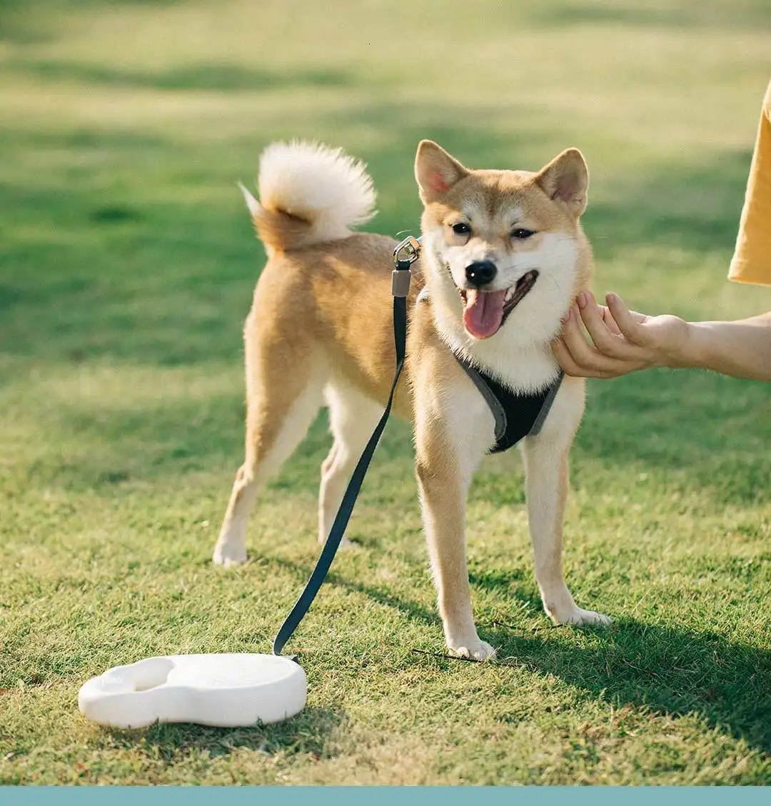 Xiaomi Pet Телескопический тяговый трос гибкий замок безопасности автоматический разматывающийся прочный Xiomi трек веревка для домашних животных 5 м