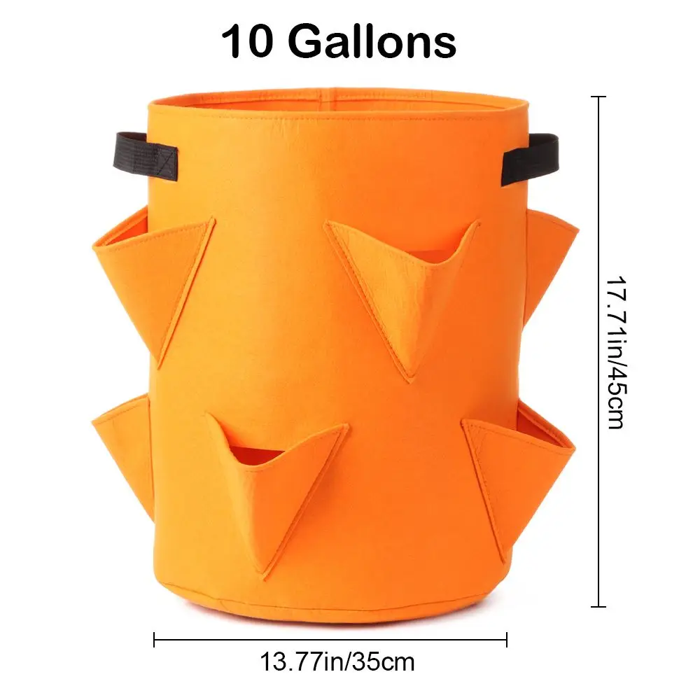 Альбом для выращивания клубники сделай сам|Тканевые горшки рассады| |