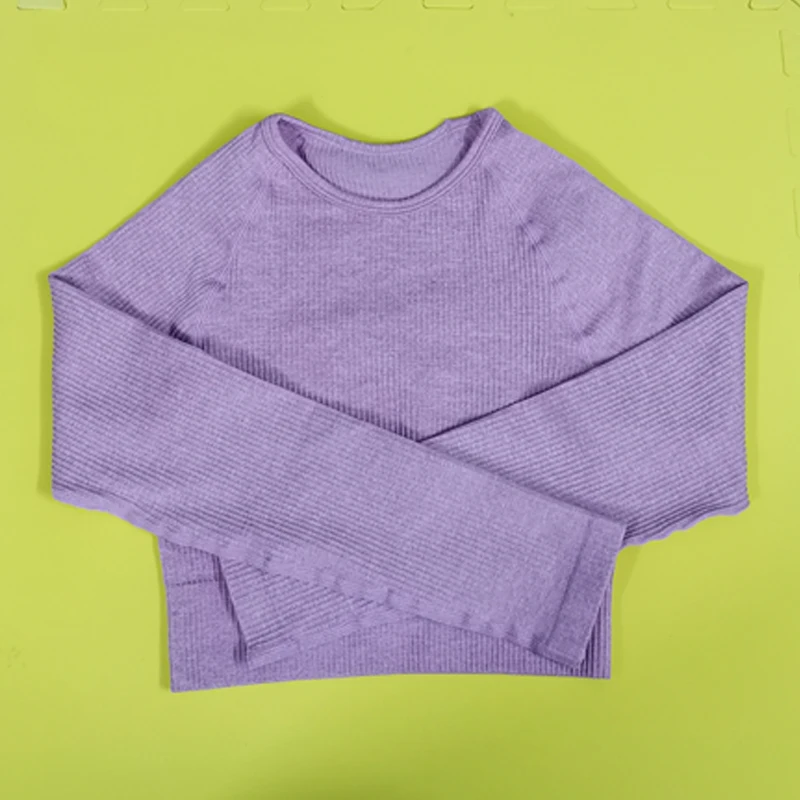 Purple Top Комплект из 2 предметов, тренировочная одежда для женщин, спортивный комплект с бюстгальтером и леггинсами, спортивная одежда для женщин, одежда для спортзала, комплект для занятий йогой - Цвет: Purple Top