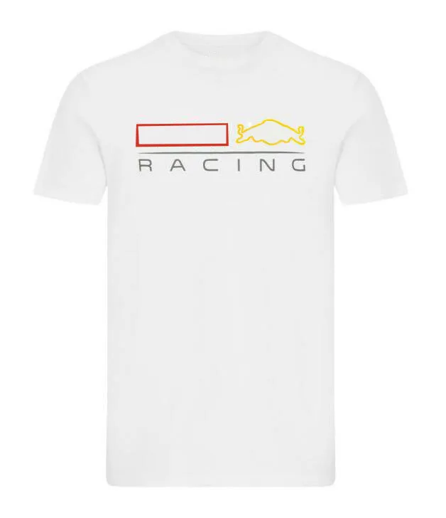 

2021 F1 team short-sleeved T-shirt, polyester quick-drying racing T-shirt, the same style is customized