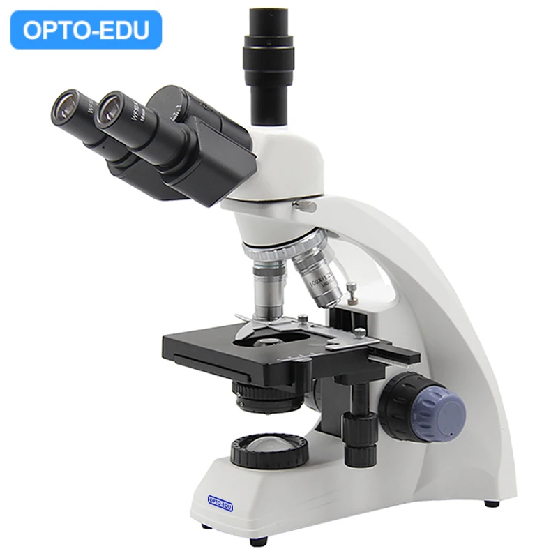 

Детский тринокулярный биологический микроскоп для студентов с низкой ценой 40x2000x