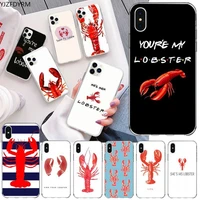 friends tv show youre my lobster phone cover for iphone 12 pro max 11 pro xs max 8 7 6 6s plus x 5s se 2020 xr cover