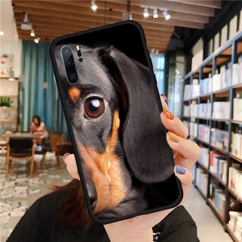 

Cute Panda Phone Case For Huawei honor Mate P 9 10 20 30 40 Pro 10i 7 8 a x Lite nova 5t