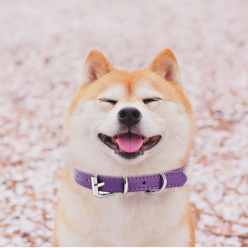 Регулируемый ошейник для питомцев ошейники из искусственной кожи собак и кошек