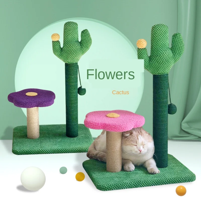 Цветок кактус кошка лазанья рамка кошка гнездо кошка дерево дом кошка игрушка продукция для домашних животных мебель полки