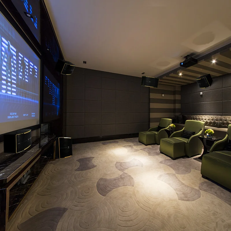 

Pasion Home KTV Stereo Suit Home Karaoke Full Set Home Karaoke Theater Surround Sound Speaker