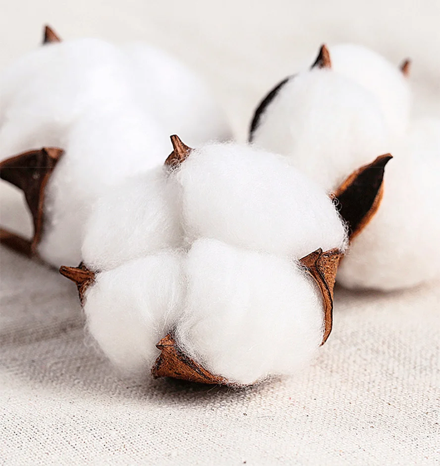 Трусики хлопковые Одноразовые стерилизованные 5 шт. | Женская одежда