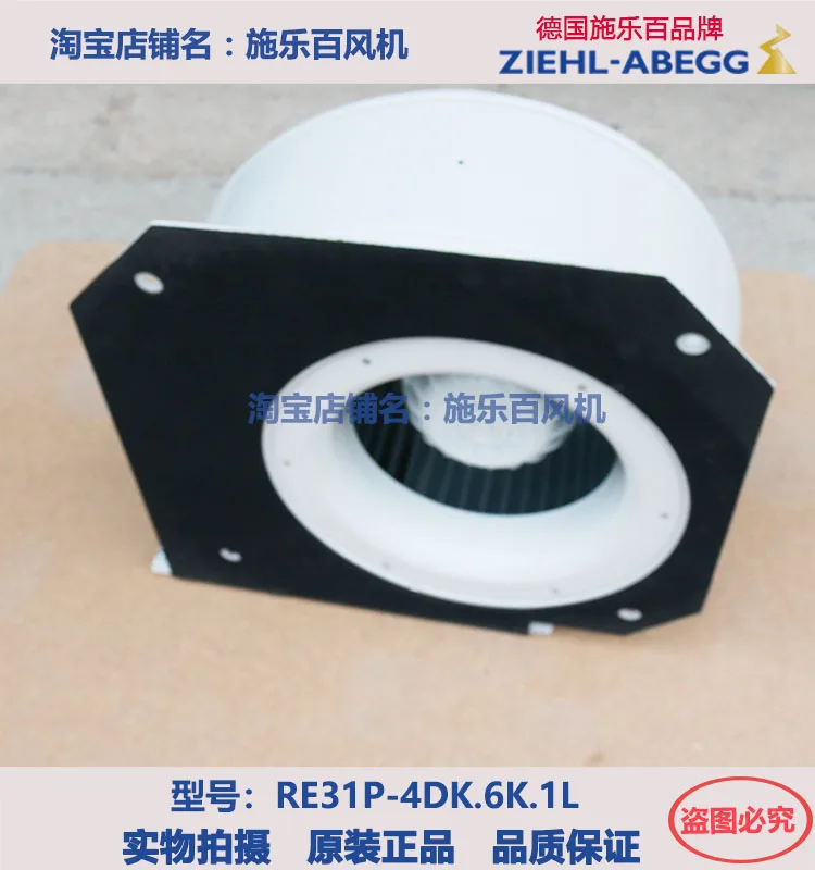 Рисунок 2 - RG31P-4DK.6K.1L ZIEHL-ABEGG