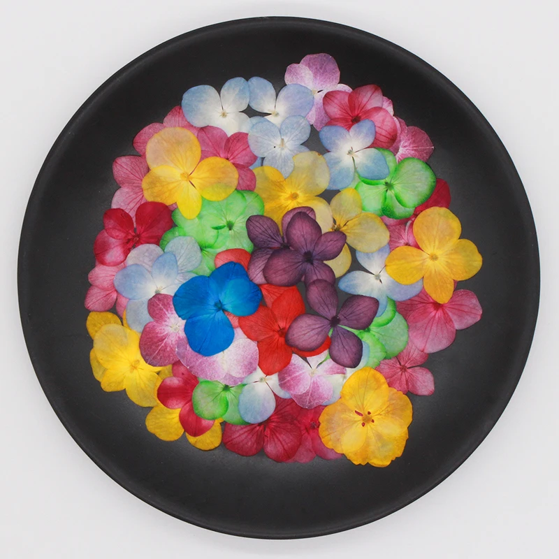 Гортензия сухой цветок DIY тиснение лепесток помпон цветы растения искусственные