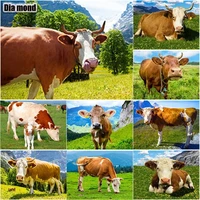 5d diy diamond painting highland cow full square round drill diamond embroidery animals cross stitch manual gift home decor