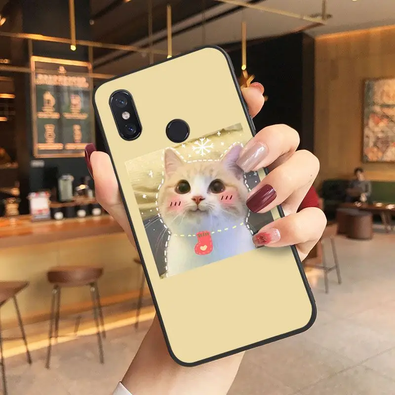 Cute Funny Kitten Cat Soft black Phone Case For Xiaomi Mi 6 6plus 8 8SE 9 9SE 6X Note2 Note3 Coque Shell Cover