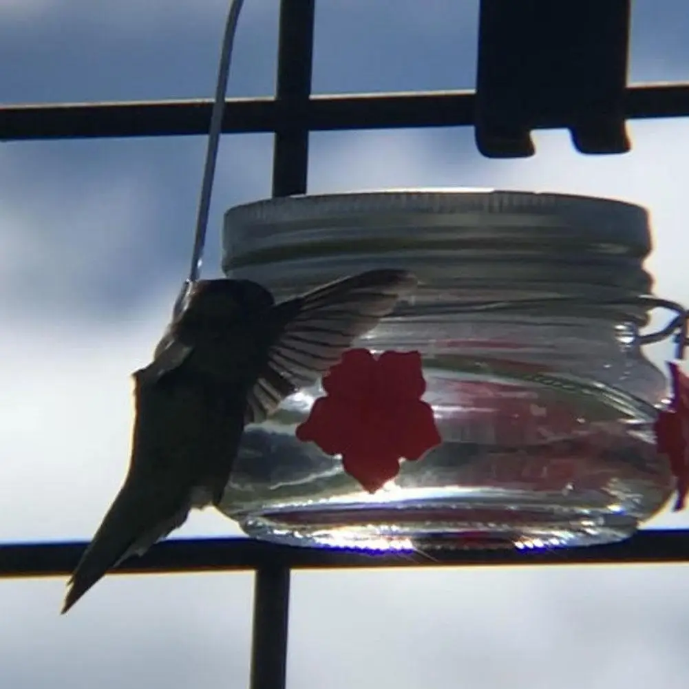 

Plastics Bird Water Feeder Bottle Hanging Hummingbird Feeder Garden Outdoor Plastic Flower Iron Hook Pet Bird Supplies