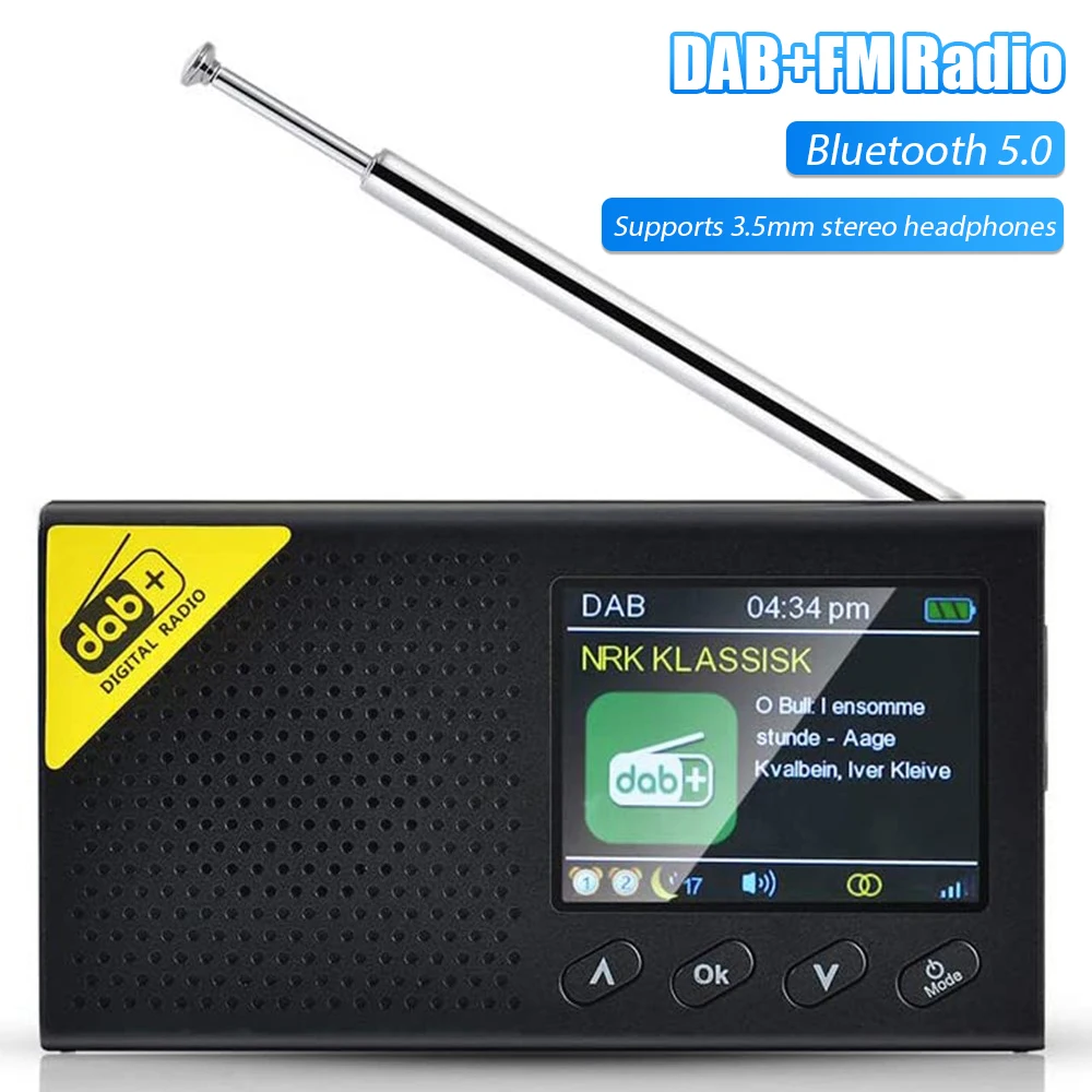 

Portable DAB/DAB+ FM Radio with Bluetooth Digital Radio Color Screen Digital Clock Radio for Outdoor Indoor