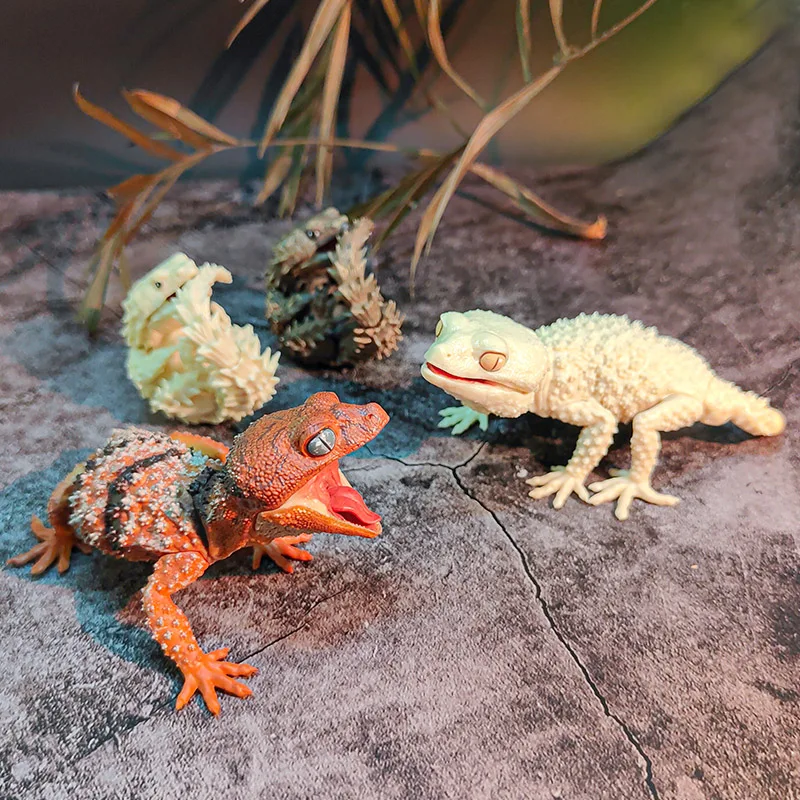 

Genuine Japan Anime Gashapon Capslue Toy Eublepharinae Lizard Cartoon Animals Doll Joints Movable Lizard Action Figure Ornament
