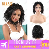 bliss water wave human hair wigs 4x4 lace closure wig deep water wave wig brazilian human hair lace front wigs for black women