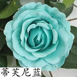 Большая искусственная головка 12 см для украшения свадьбы дня рождения Настенный