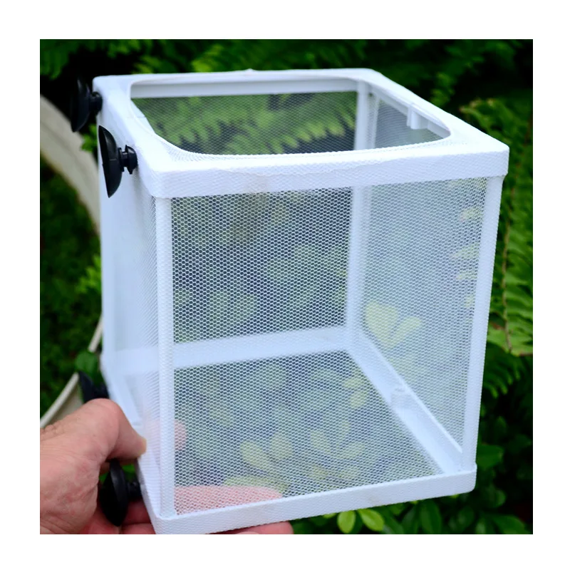 Small Fish Fry Separation Box In The Tank Isolation Net Breeding Production Hatching Large Delivery Room | Дом и сад