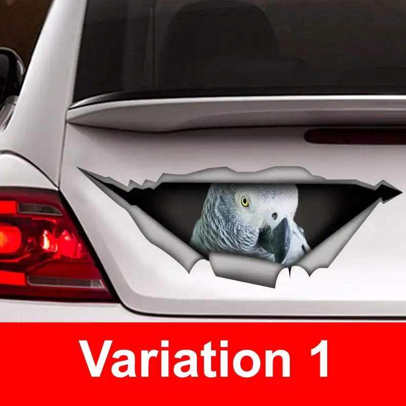 

2021 African Grey car decal, vinyl decal, parrot decal, bird decal, parrot sticker