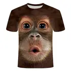Новая футболка с 3D принтом для мужчин и женщин, одинаковые животные, футболка с обезьяной, короткий рукав, Забавный дизайн, повседневный топ с графическим рисунком