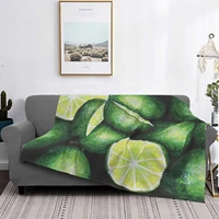 lime watercolor creative design light thin soft flannel blanket lime watercolor prismacolor pencil water open fruits fruit