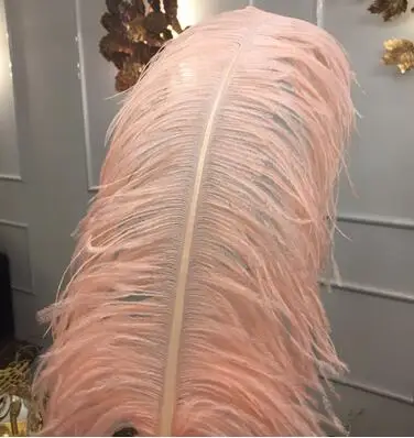Light pink Американский торшер, роскошная медная пуховая ветка, торшер для отеля, красивая лампа, золотая, для гостиной, стоящая лампа H160xD120cm - Цвет абажура: Light pink