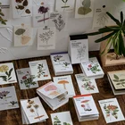Декоративные крафтовые открытки, 50 шт., в стиле ретро, с изображением растений, Декоративные Канцтовары, канцелярские товары, клейкий блокнот для заметок