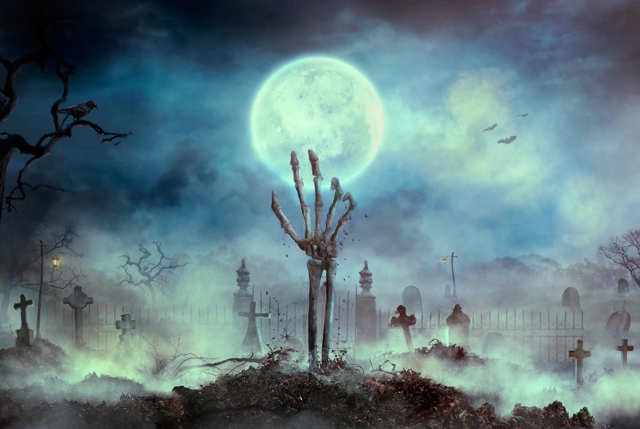 

photographic photophone terror Zombie cemetery night hand moon Halloween backdrop Background photography photobooth