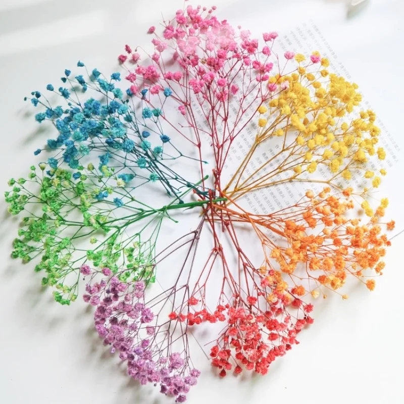 

Yongsheng сушенный цветочный декоративный цветок ручной работы свежий законсервированный цветок, сделай сам, ювелирное ремесло сувенир матери...