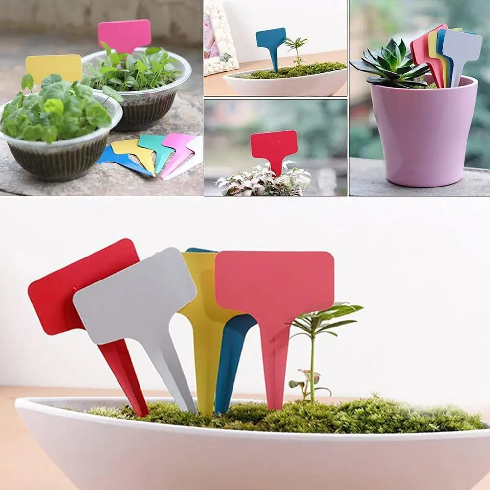 

100 Pcs New Listing Gardening Label Nursery Bonsai Label Plastic Plant Type T Label Plant Pot Planter Vegetable Label Tag