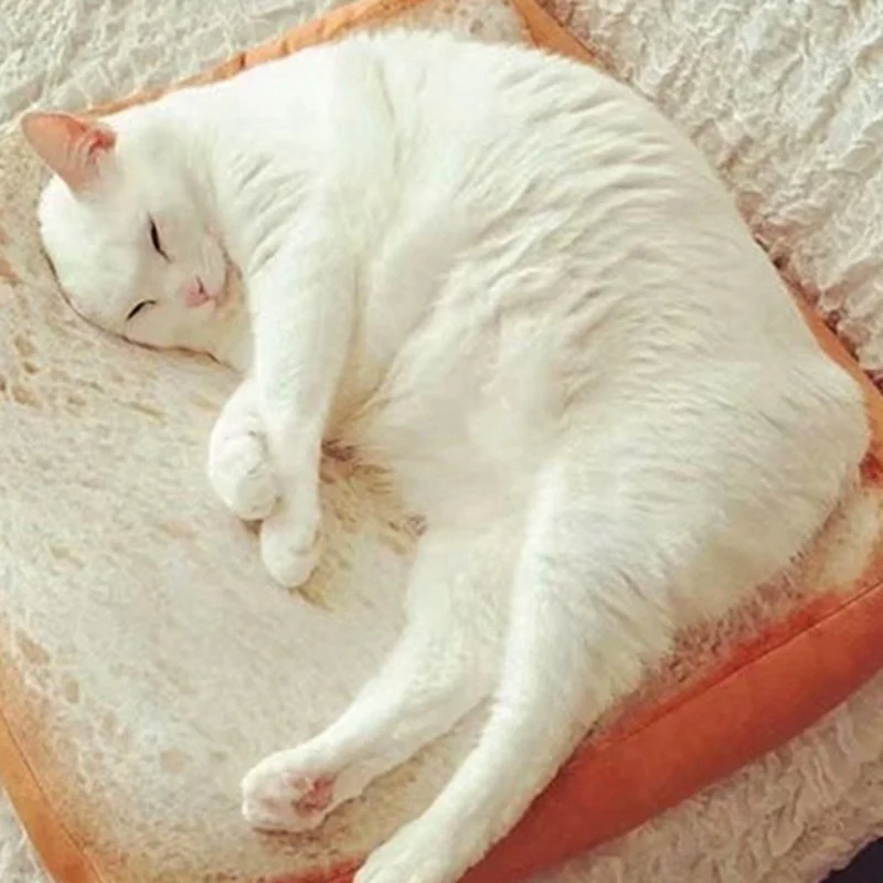

Bread Cats Bed Toast Bread Slice Style Pet Mats Cushion Soft Warm Mattress Detachable Soft Sofa Small Dog Beds