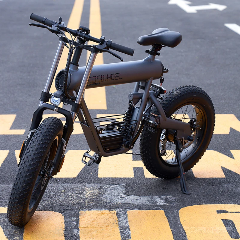 Verkaufen 20 Zoll Fett Reifen Elektrische Fahrrad Hohe Geschwindigkeit Kreuz-land Elektrische Fahrrad Lithium-batterie Mountainbike Strand Motorrad
