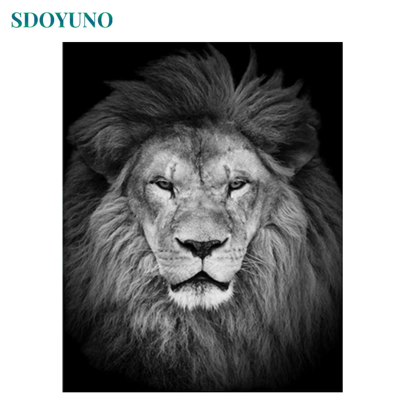 

SDOYUNO 60x75cm Painting By Numbers Kits DIY Lions Paint By Numbers On Canvas Animals Frameless Digital Hand Painting