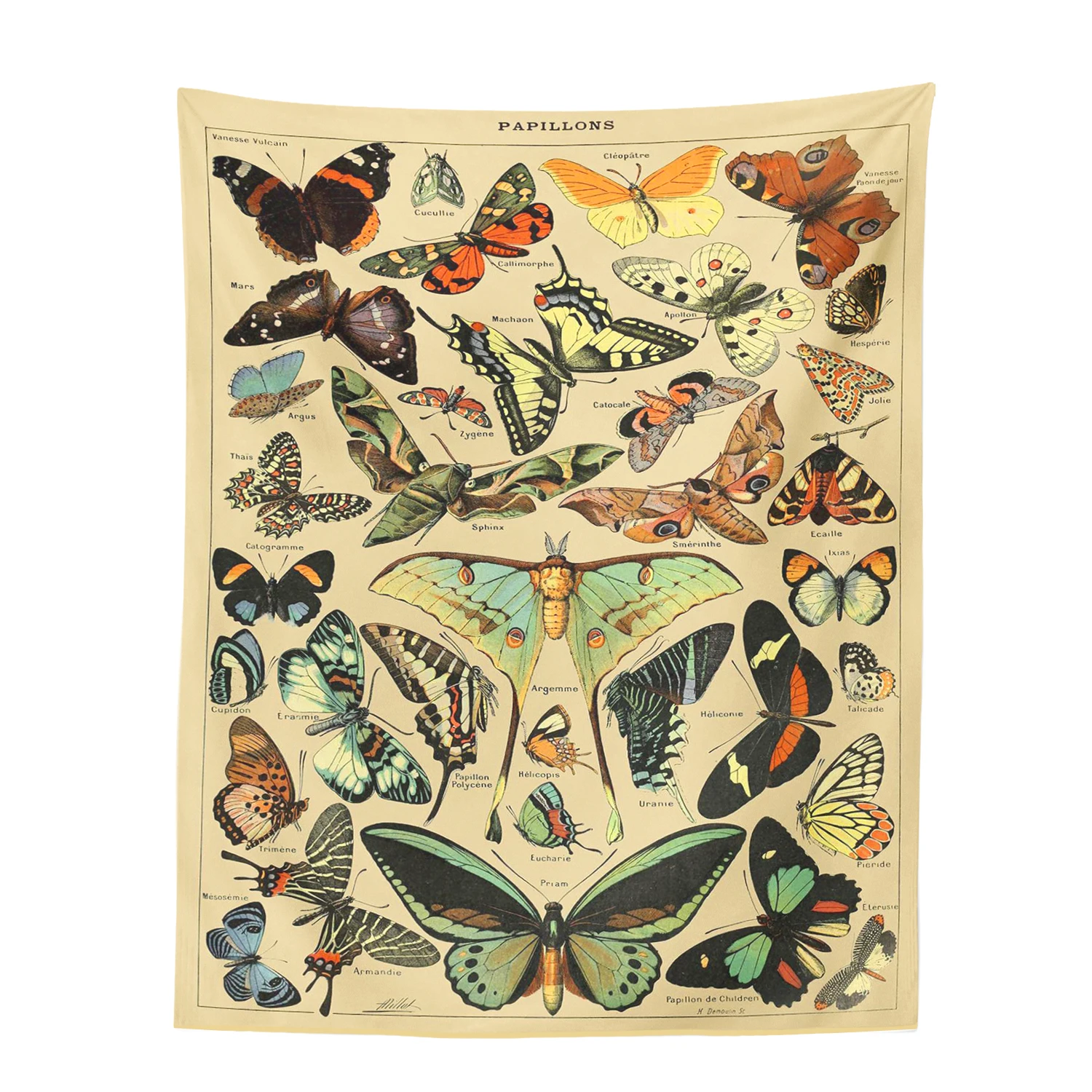 

Vintage Butterfly Illustration Wall Tapestry Haning Boho Millot Art Illustrated Wall Decor Farmhose Decor Antique Wall Art