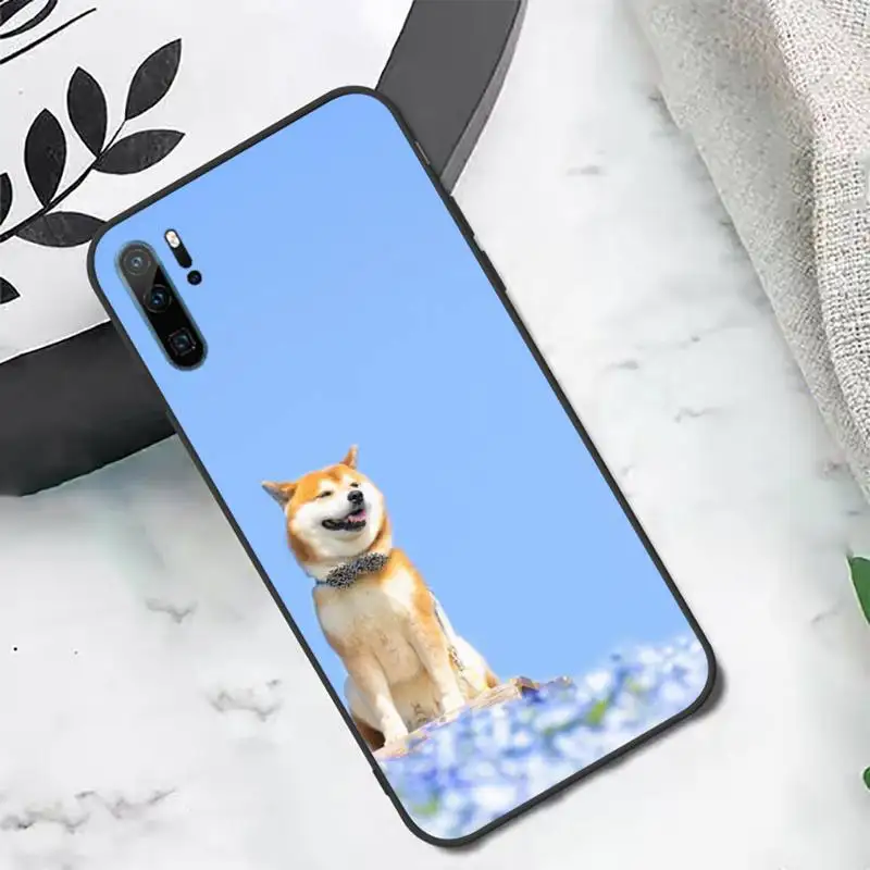 

Shiba Inu Animal Dog Phone Case For Huawei honor Mate P 10 20 30 40 i 9 8 pro x Lite smart 2019 nova 5t
