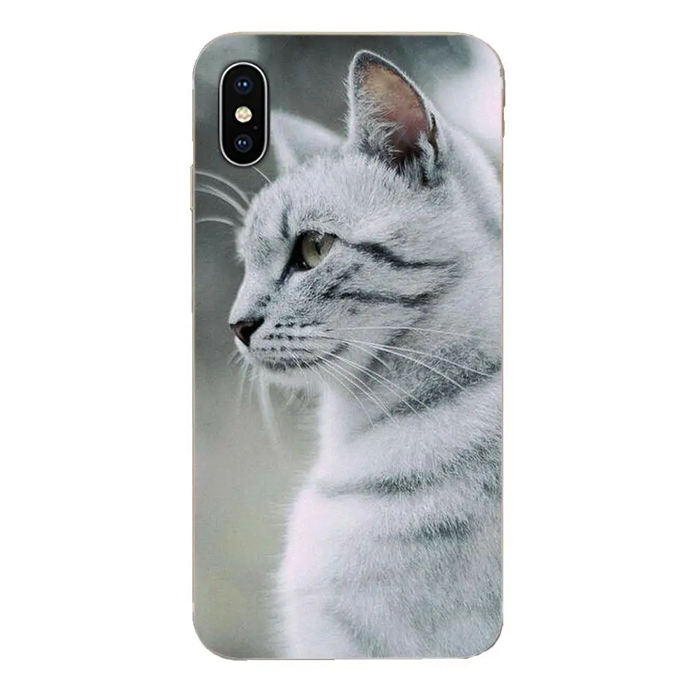 Gray Cat Lovely Animal Soft Tpu Phone Case For Sony Xperia Z Z1 Z2 Z3 Z4 Z5 compact Mini M2 M4 M5 T3 E3 E5 XA XA1 XZ Premium | Мобильные