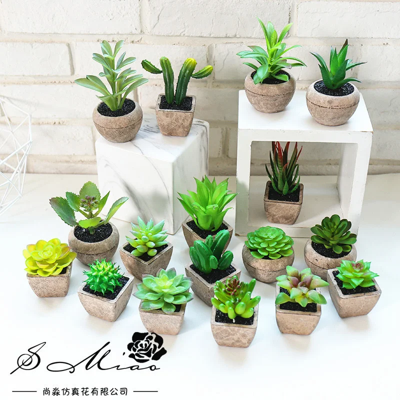 

2019 new mini succulent plant bonsai creative decoration